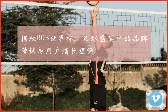 揭秘BOB世界杯:足球盛宴中的品牌营销与用户增长逻辑