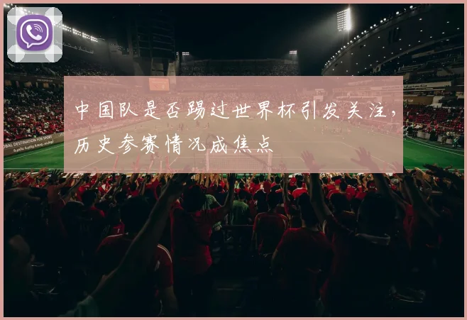 中国队是否踢过世界杯引发关注，历史参赛情况成焦点