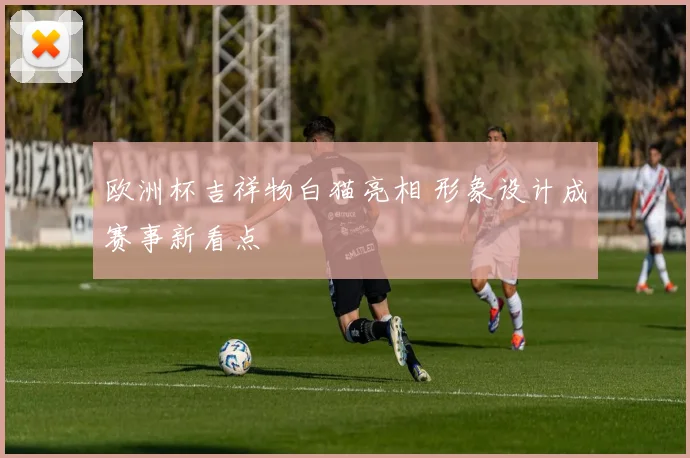 欧洲杯吉祥物白猫亮相 形象设计成赛事新看点