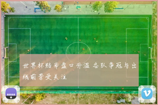 世界杯赔率盘口升温 各队争冠与出线前景受关注