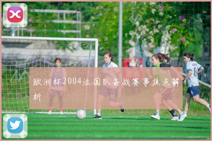 欧洲杯2004法国队备战赛事焦点解析